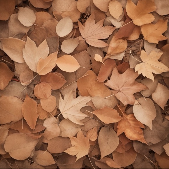 Meet your Posher, Monika - Picture 2 of 2